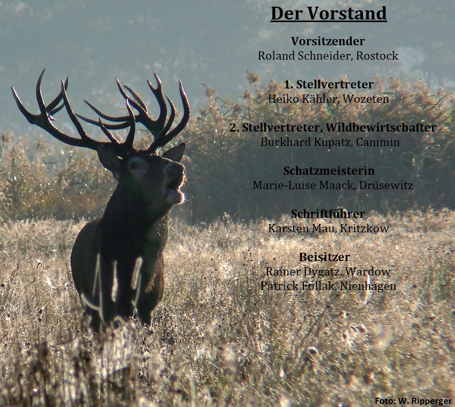 Vorstand